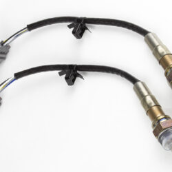 WB2 NTK - Dual Channel CAN O2 Wideband Controller Kit - Image 3