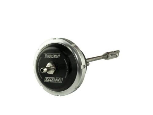 IWG75 Fiat 124 Spider/500T/L/X/Abarth 2012+ 10psi Outer Spring Fitted